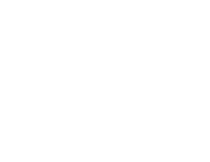 Logo-GPOVallas-BCO